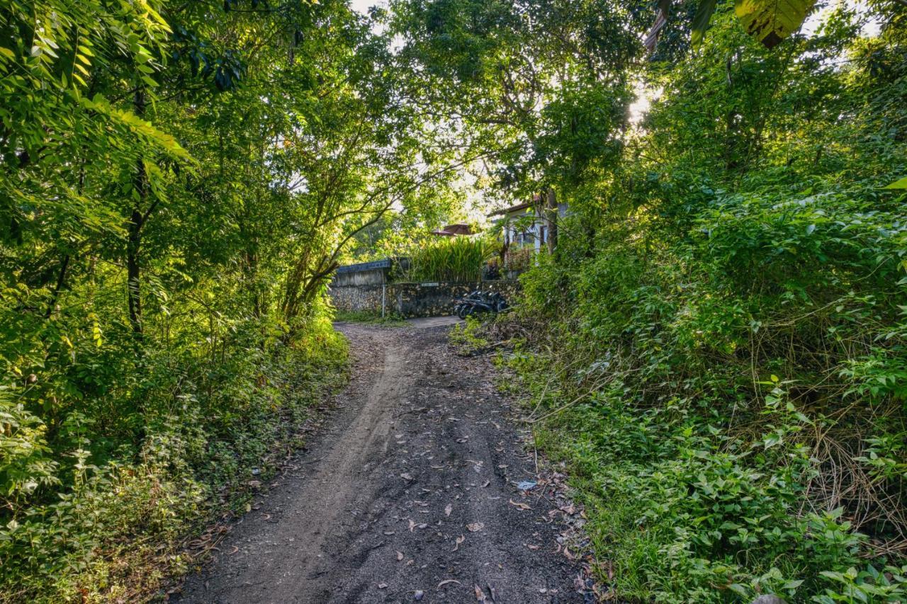 Le Green Village Toyapakeh Kültér fotó